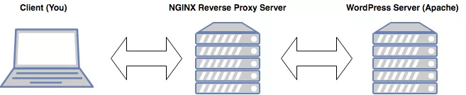 Prototypical NGINX reverse proxy diagram