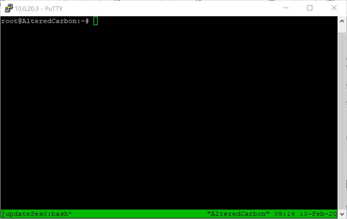 The green bar at the bottom of the terminal shows that you are in a tmux session.